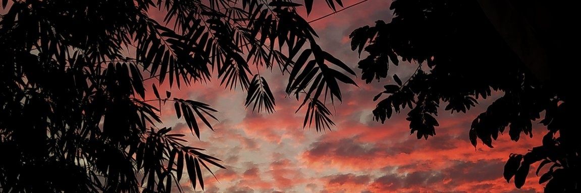 nama_siap's profile banner image