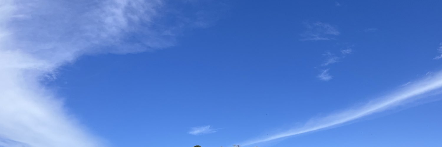 consucz's profile banner image