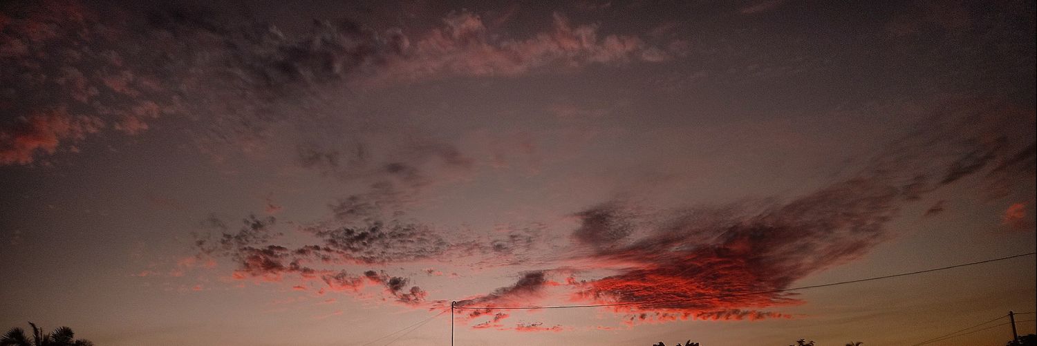 coluccibranny's profile banner image