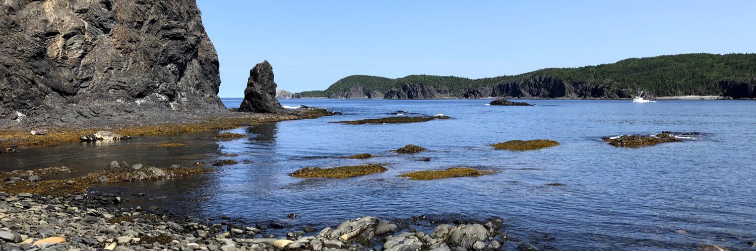 teachontherock's profile banner image