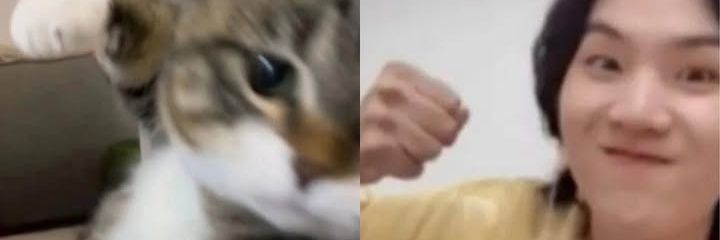 itsyoonky || ⟭⟬E ARE B⟬⟭CK banner