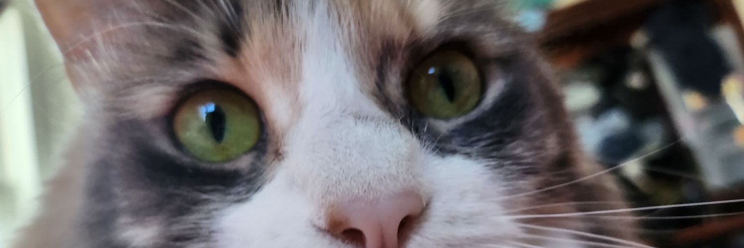pouringpayne's profile banner image