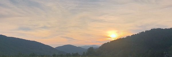 Alb_31__ Profile Banner