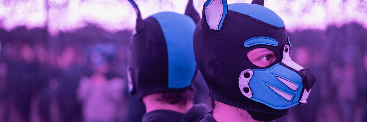 PupHunter banner