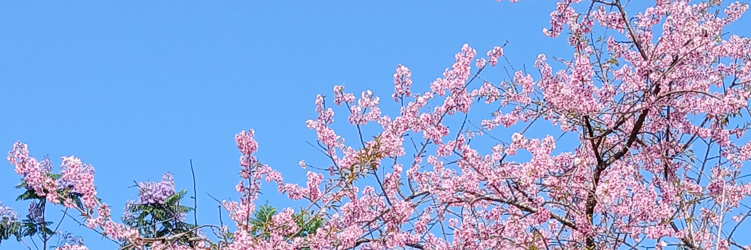 Na3426's profile banner image