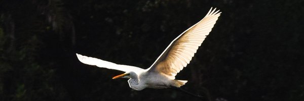 shalzztweet Profile Banner