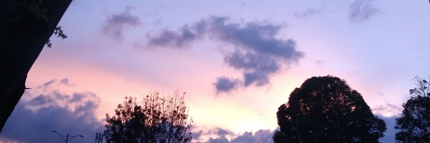 Dysphoriaa_'s profile banner image