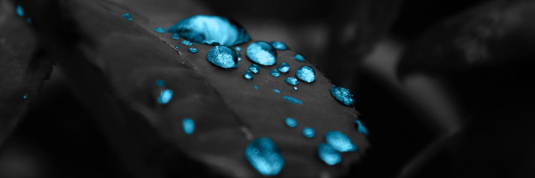 𝙿𝚁𝟶𝟷𝙵𝙸𝙲 banner