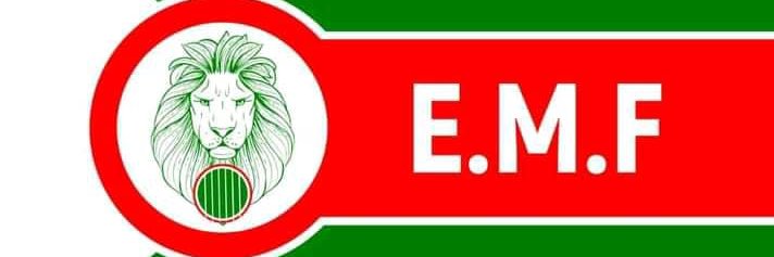 EMF MEDIA banner