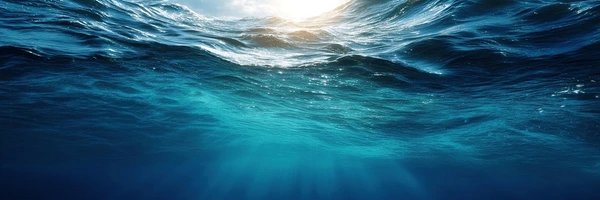 Chris Buonocore banner