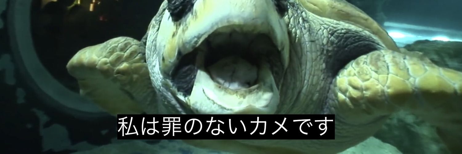 かめのしっぽ banner