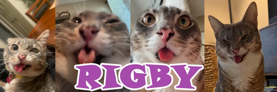 Flurky's banner