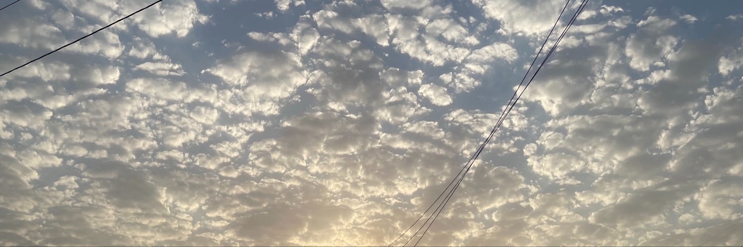 romaysw's profile banner image