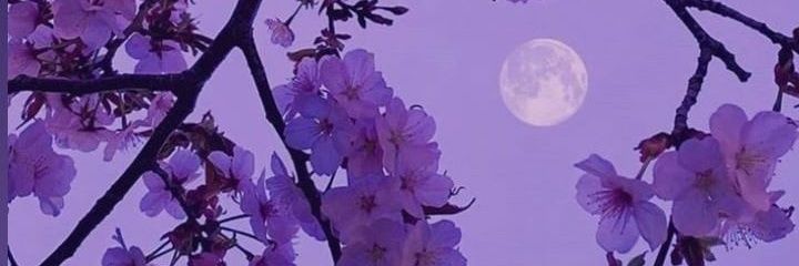 LunaDallia's profile banner image