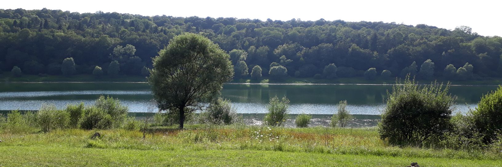 FRAICHE Jacques banner