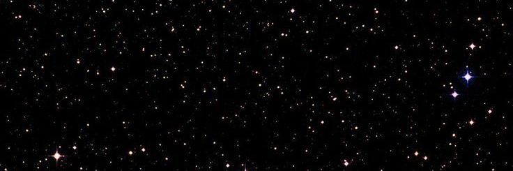 S a 🌸 banner
