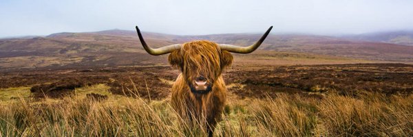 CouncilCrieff Profile Banner