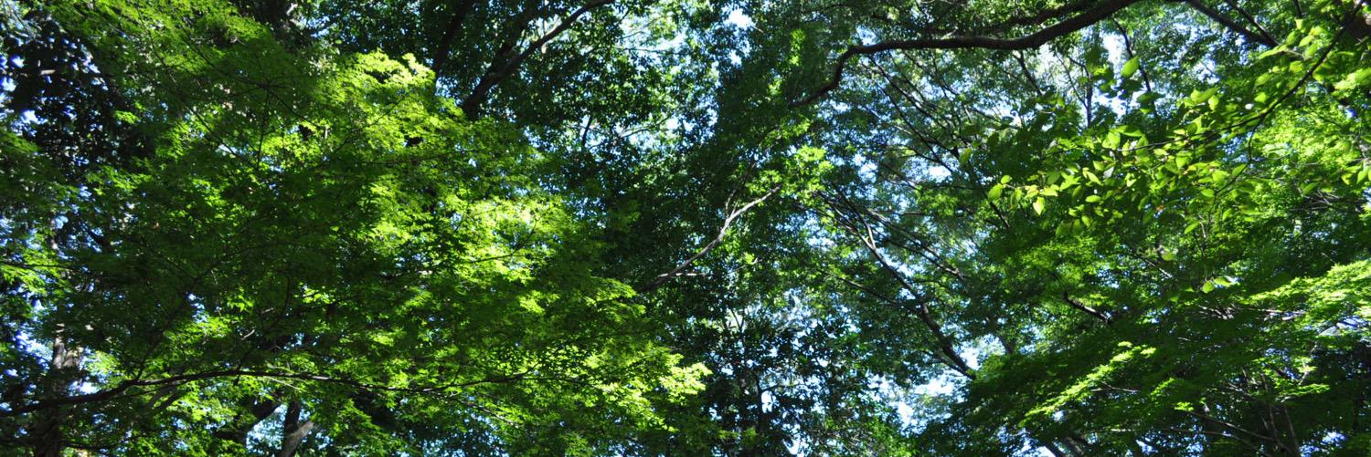 aporo430's profile banner image