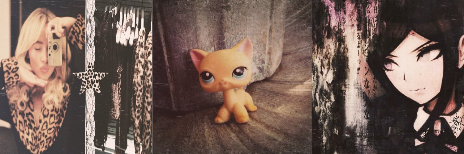 hols 🦦 .𖥔 ݁ banner