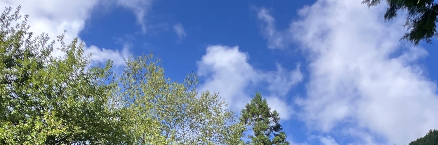 trippy96's profile banner image