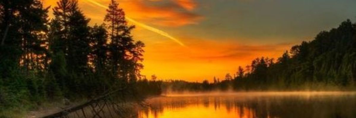 miron_boland's profile banner image