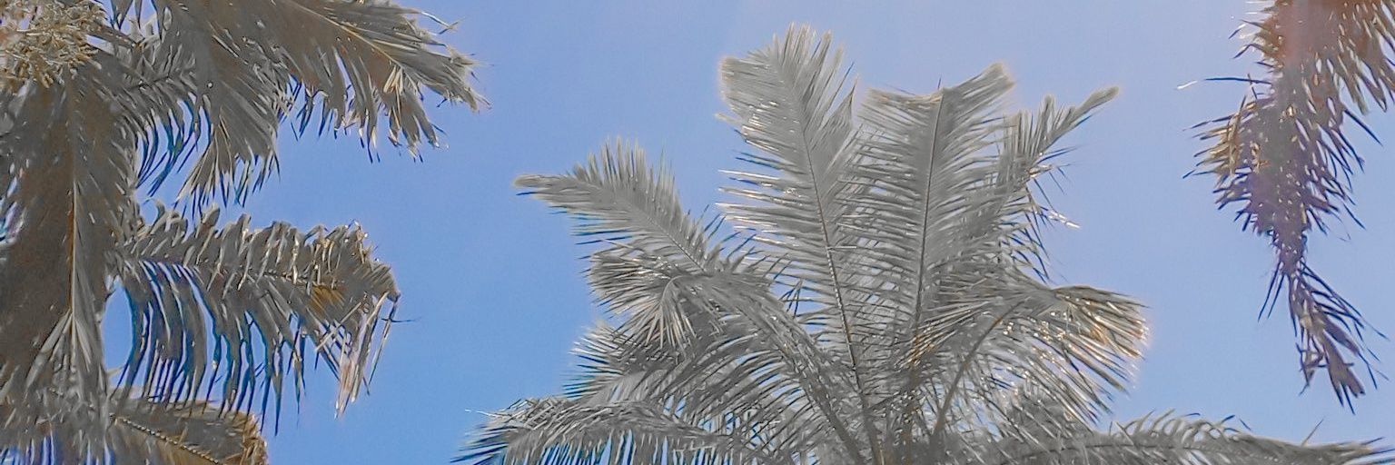 BuanaCo's profile banner image