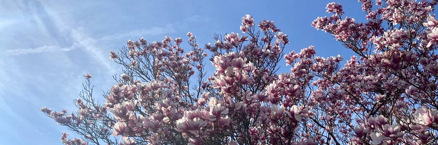 Sofia Chernet, MD banner