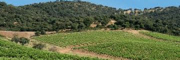 BodegaVirgen's profile banner image