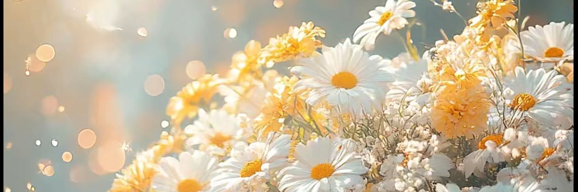 msk__912's profile banner image