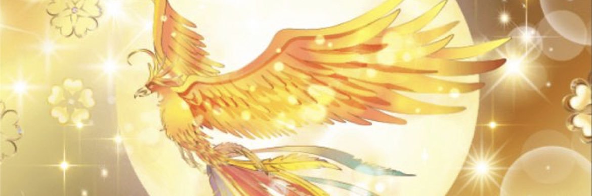 NORISA✧ 🇯🇵を明るい未来に繋ぐ🍊🕊️✨'s banner
