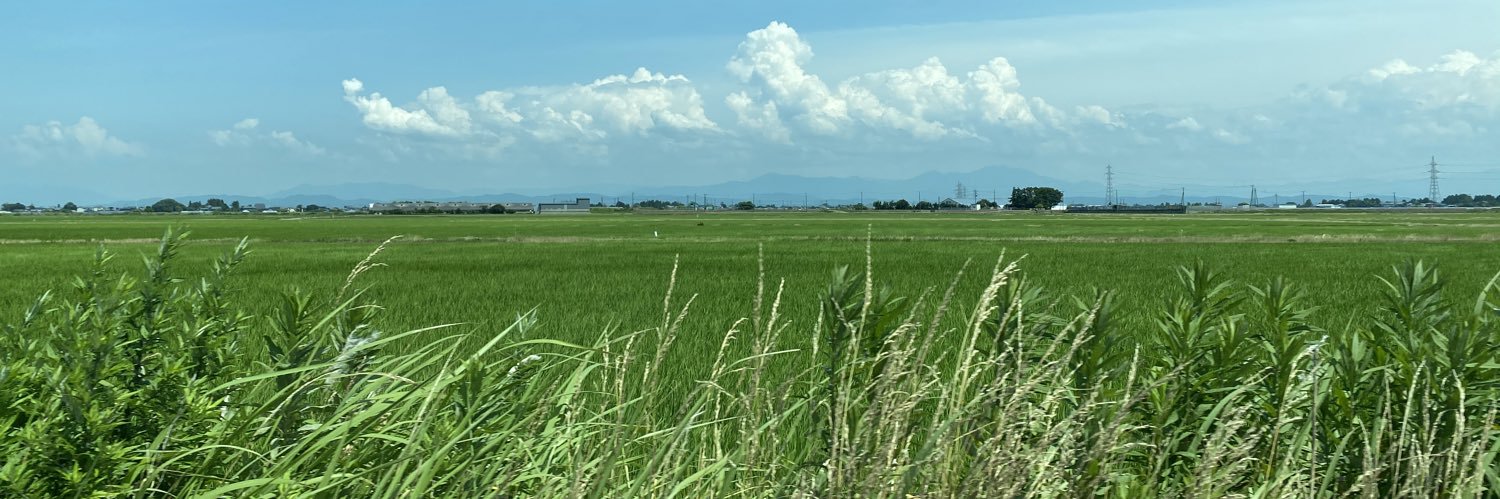 mojamamire's profile banner image