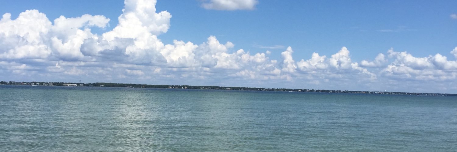 Lyndsey Angus banner