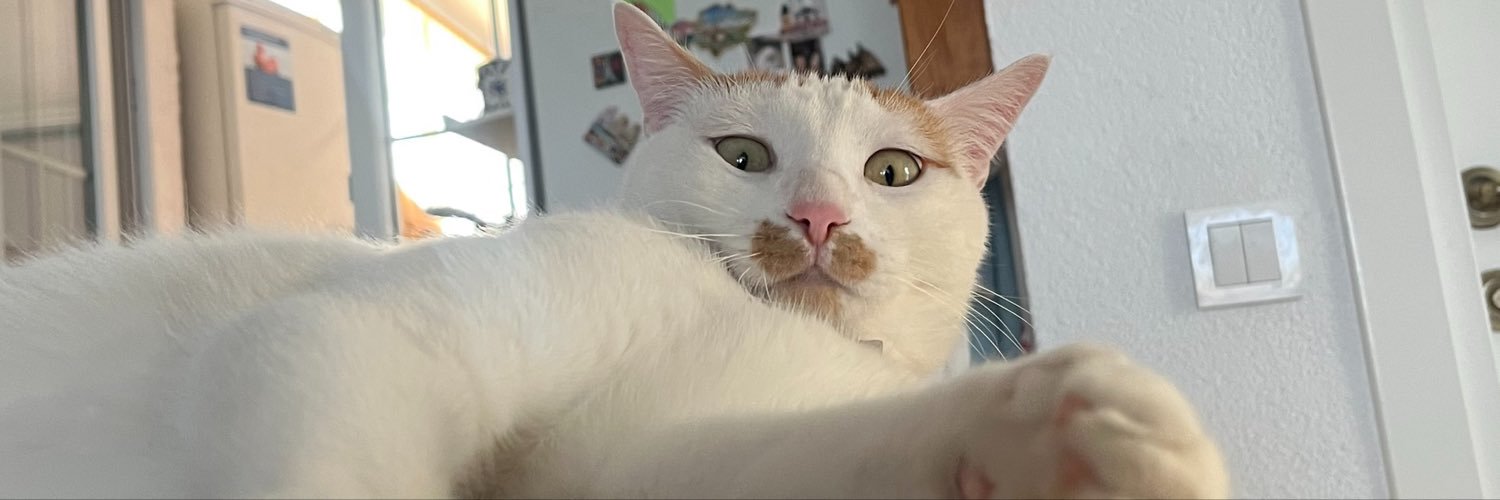 lecuymeri's profile banner image