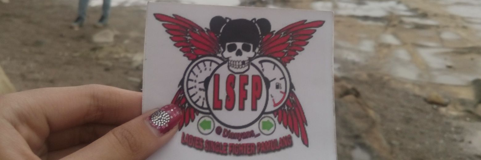 LadiesSingelFighterP banner