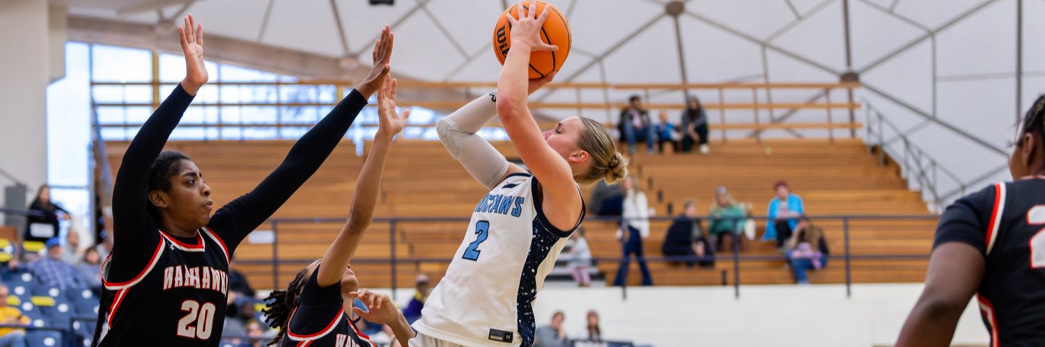 Abigail Winslow banner