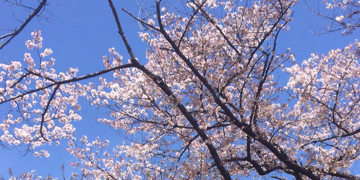 natsuki7ty's profile banner image