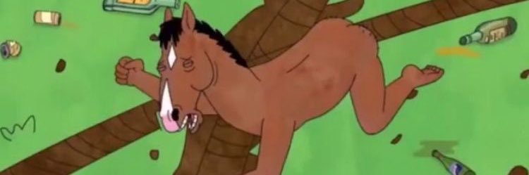 I LOVE THE RIDDLER! banner