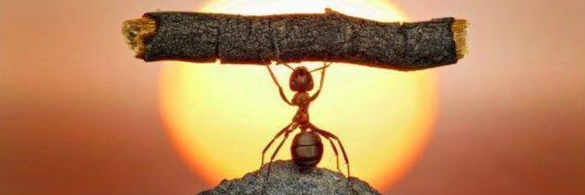 toasti_hs 🚿🦉🍀🎷🌍 banner