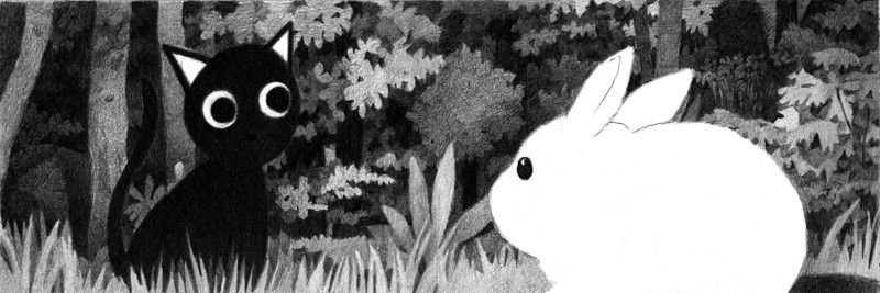 vaerie's profile banner image