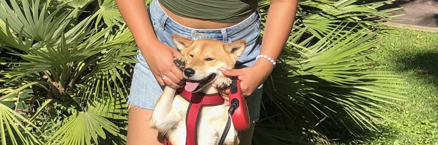 Amandinedch's profile banner image