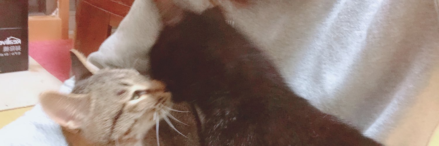 mtck_69's profile banner image