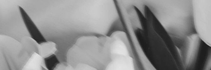Canderandazzo's profile banner image