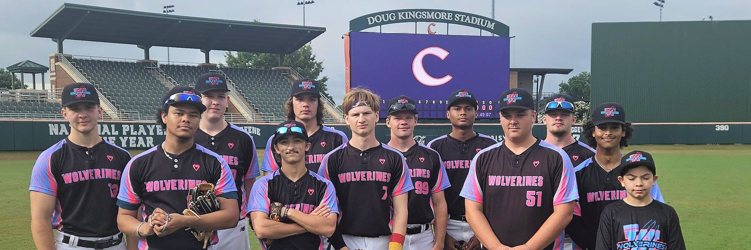 Palmetto State Wolverines Showcase Baseball banner