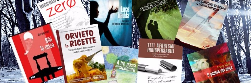 LibroSiLab's profile banner image