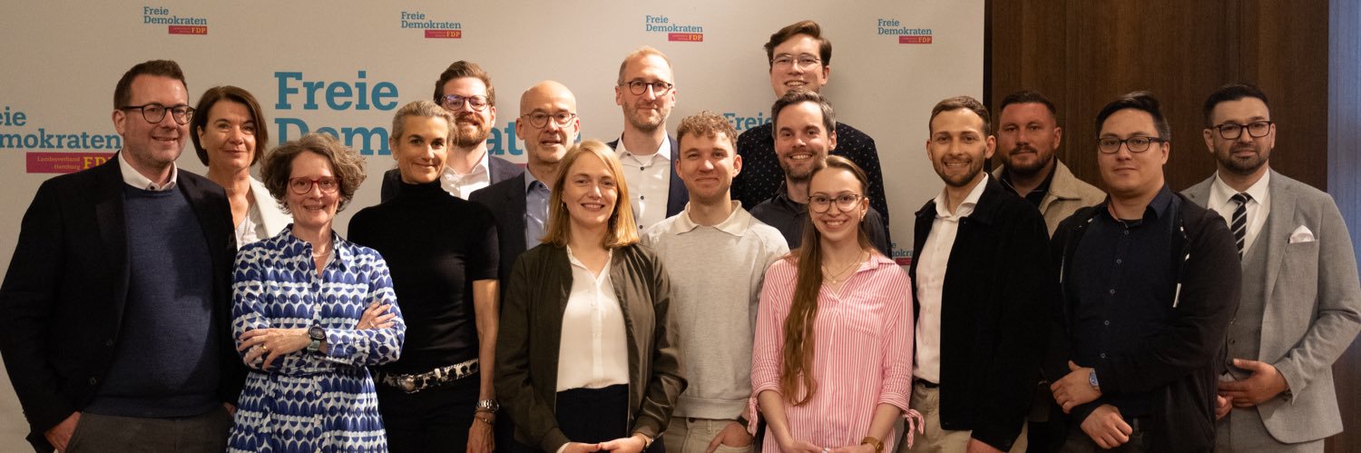 FDP Hamburg banner