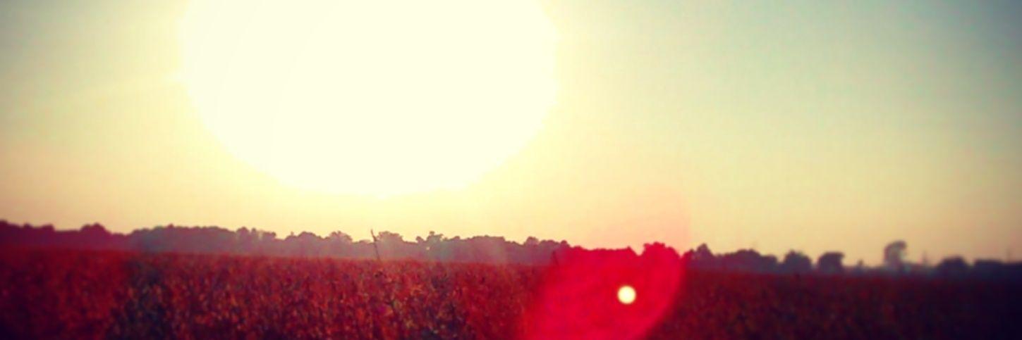Magdalena Tezanos banner