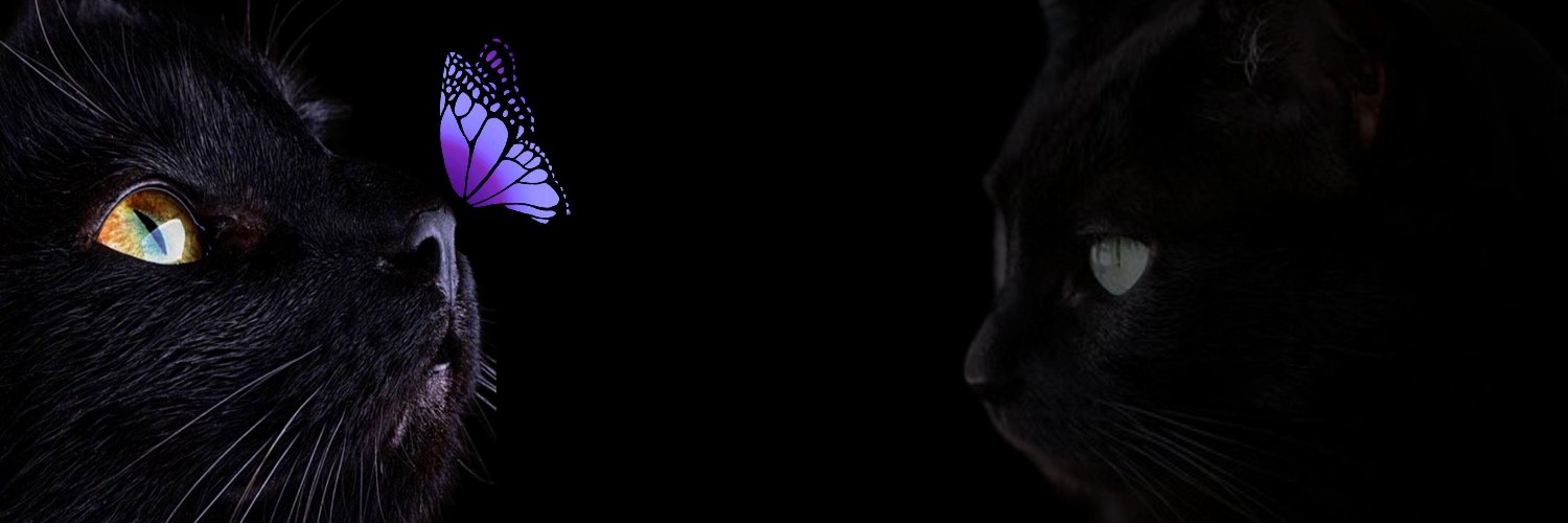 Lilinavarro6's profile banner image