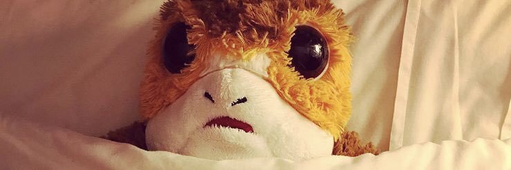 gailns78's profile banner image