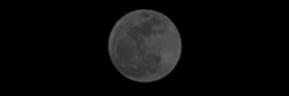 NElShaf3y's profile banner image