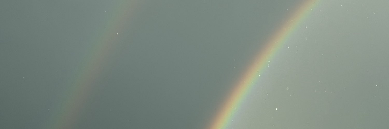 PlayWithP_'s profile banner image